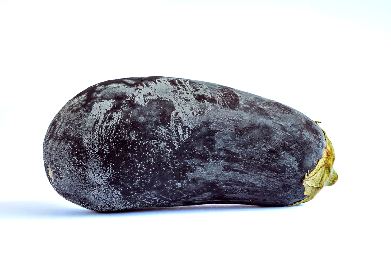 EGGPLANT