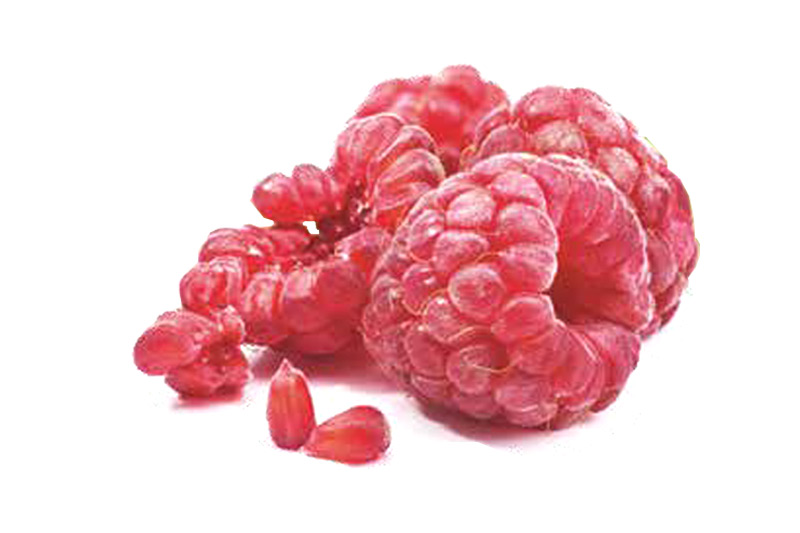 RASPBERRIES