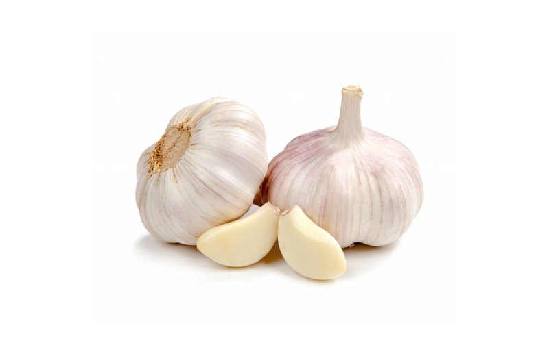 Garlic